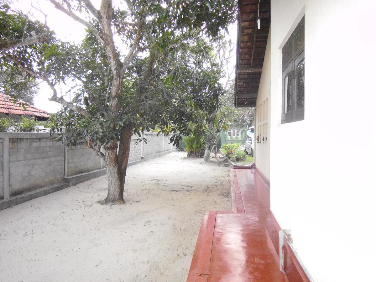 נגומבו Mama'S Hostel By Taprobane מראה חיצוני תמונה