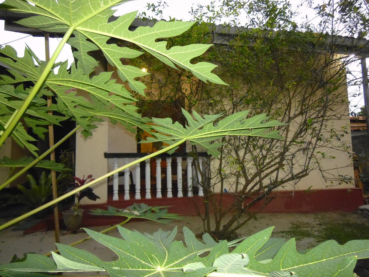 נגומבו Mama'S Hostel By Taprobane מראה חיצוני תמונה